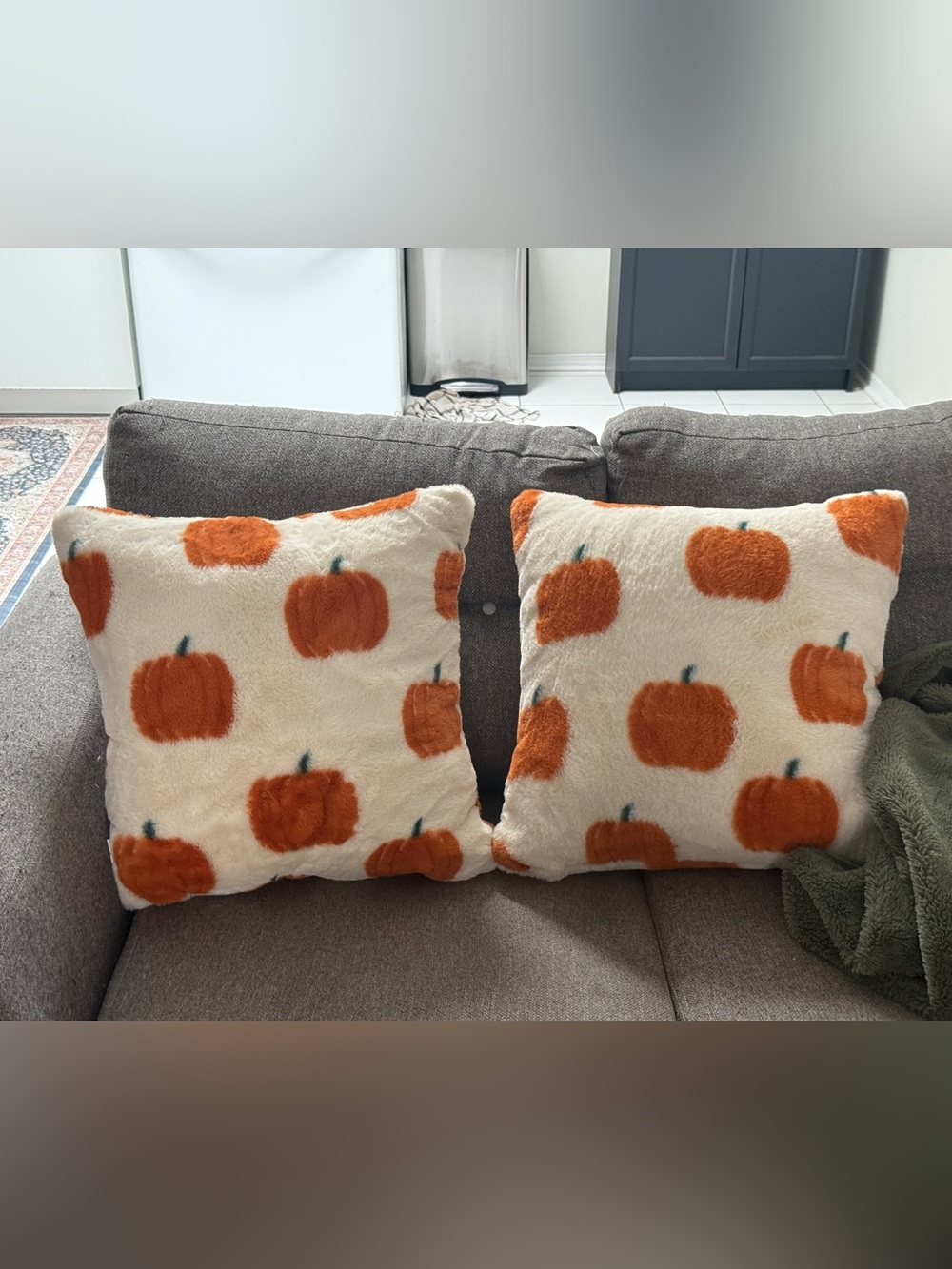 Cozy Pumpkin Plush Throw Pillow Pair